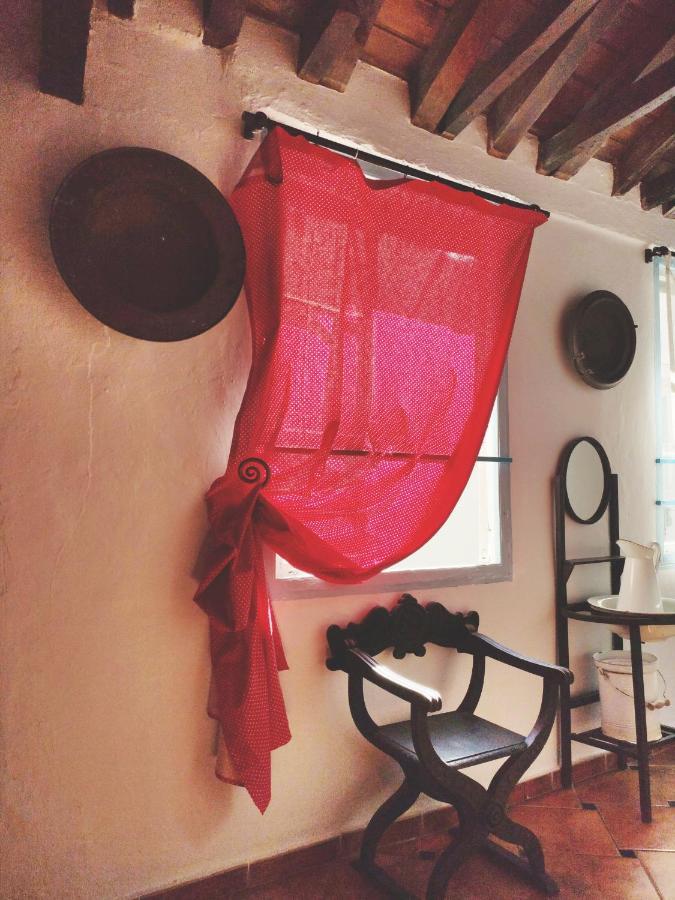 Hostel Patio 19マラガ エクステリア 写真