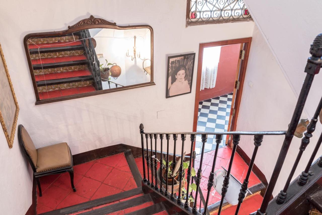 Hostel Patio 19マラガ エクステリア 写真