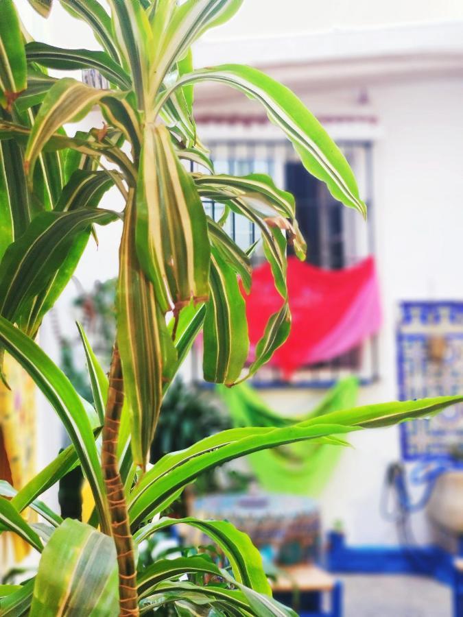 Hostel Patio 19マラガ エクステリア 写真
